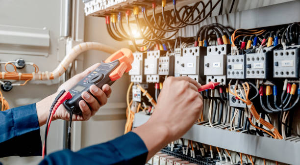Best Electrical System Inspection  in Sidney, IL